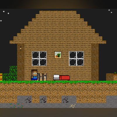Steve's Bed